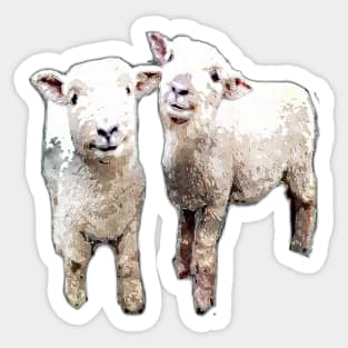 Two Sheep bywhacky Sticker